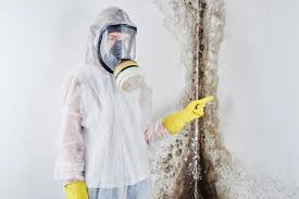 Why You Should Choose Our Mold Remediation Services in Hudson, NC